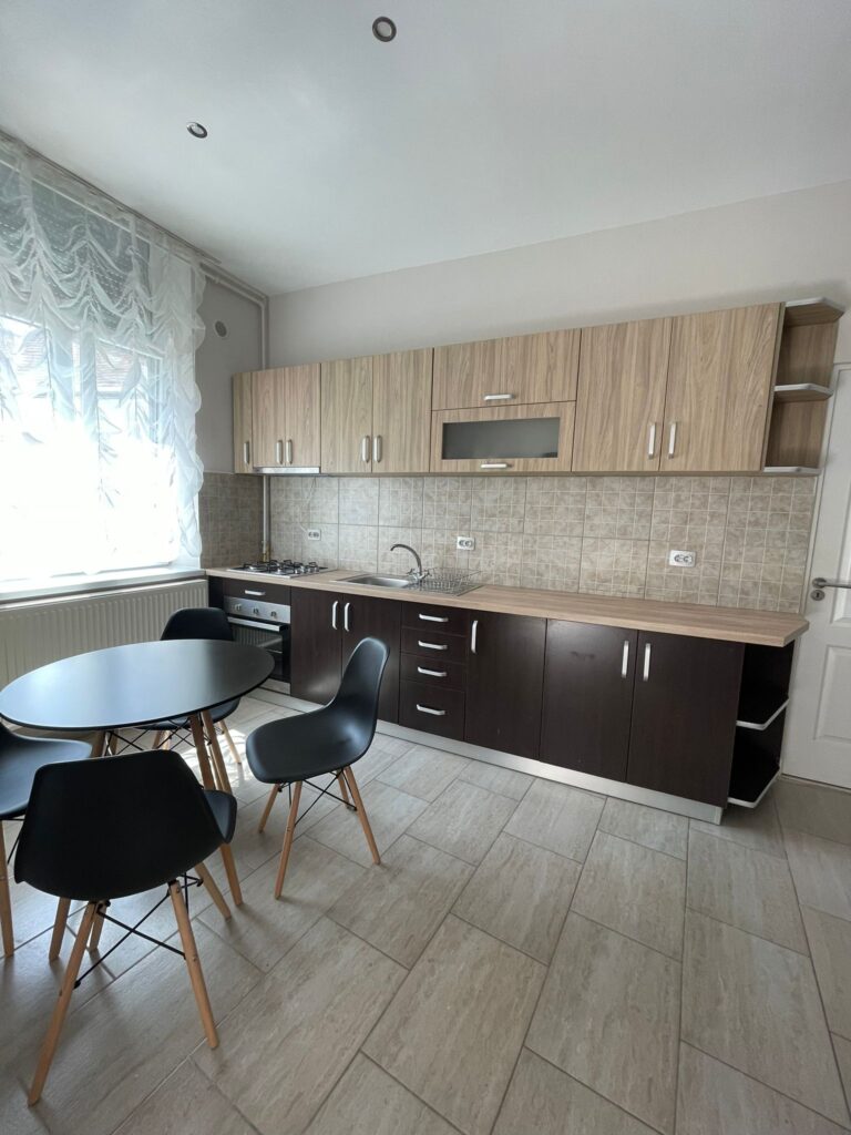 apartament de inchiriat satu mare (7)